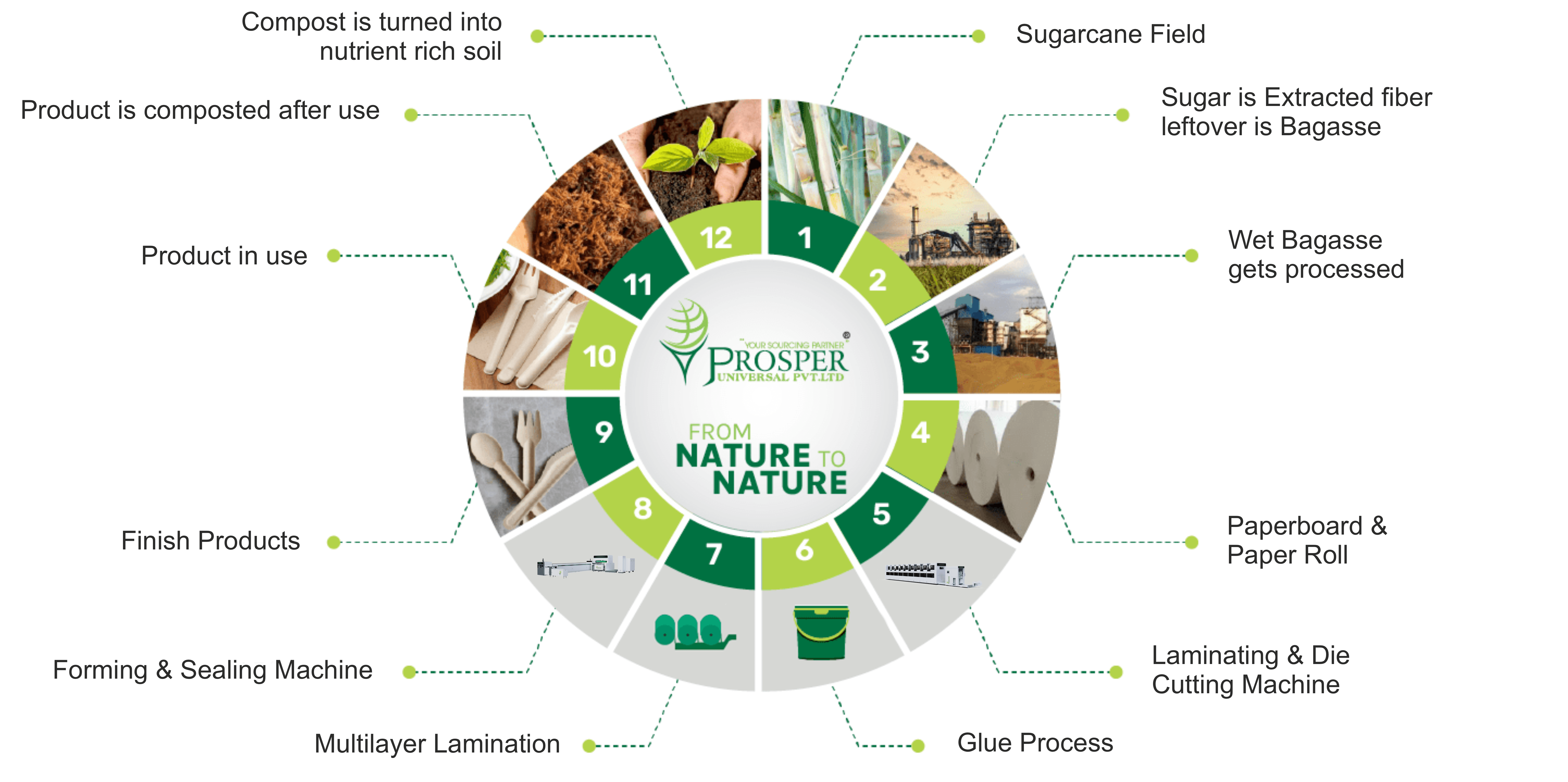 Sugarcane Bagasse Plates and biodegradable tableware manufacturer in India